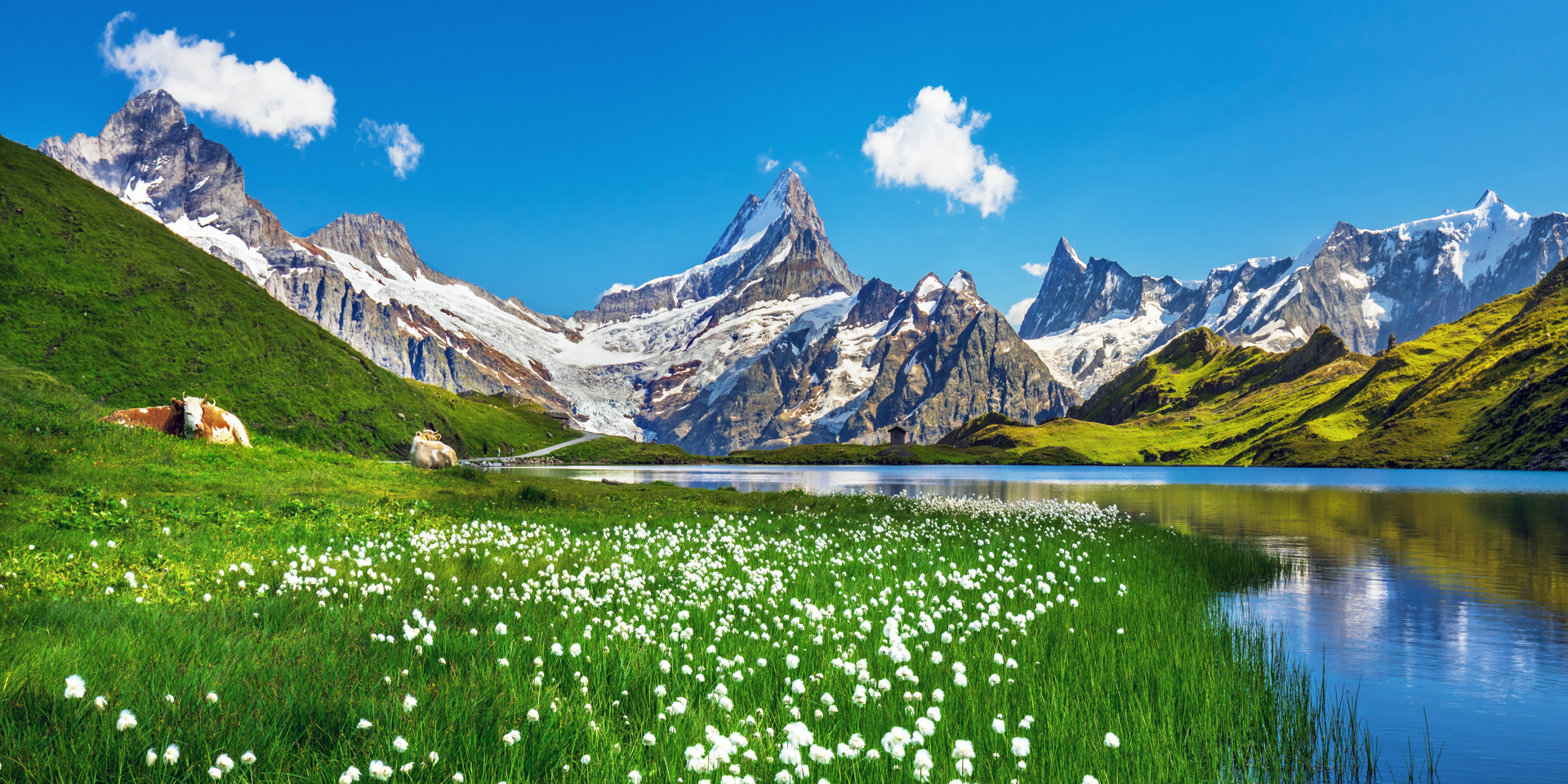 Bachalpsee ในเขต Jungfrau Region
