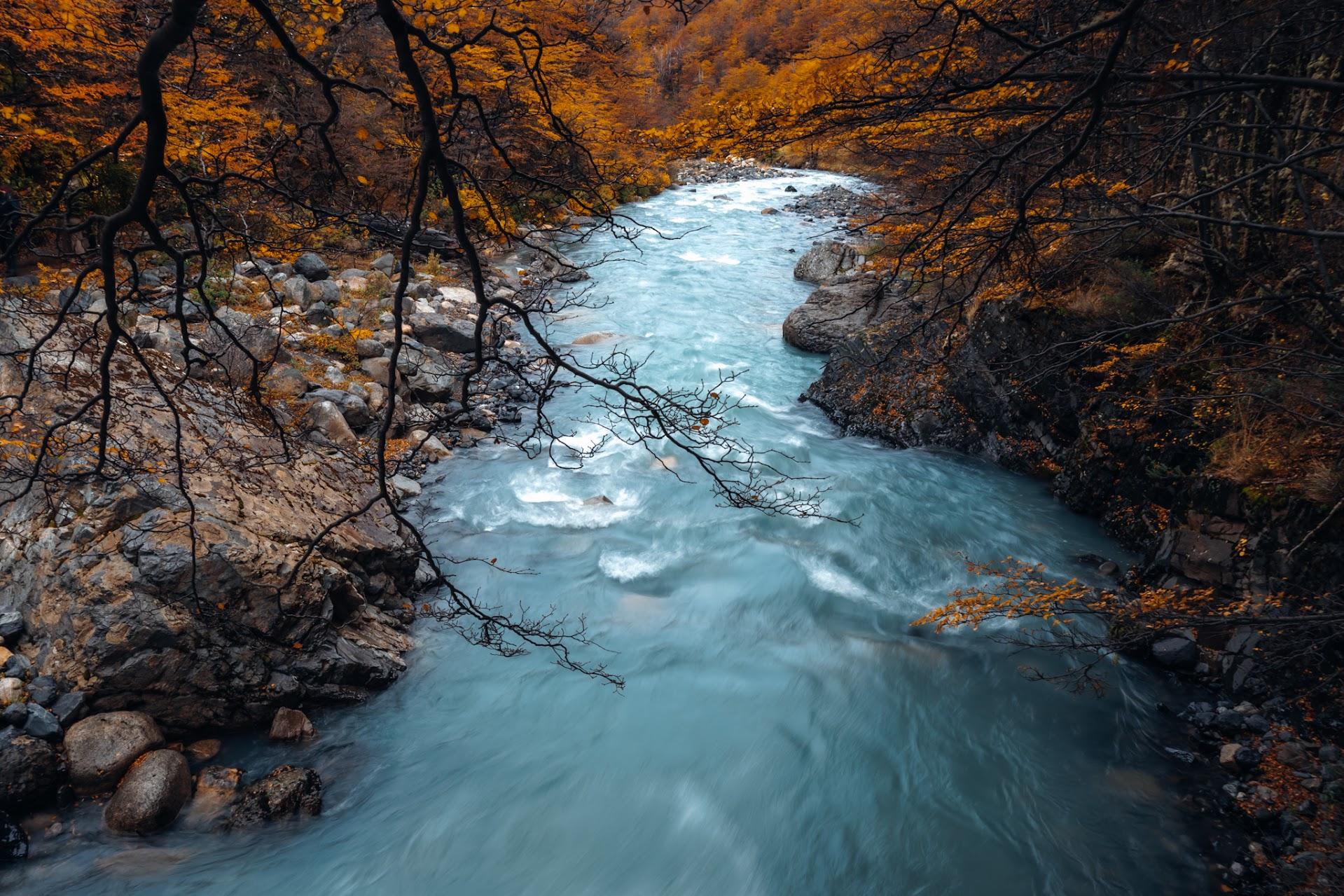 Z52_3968