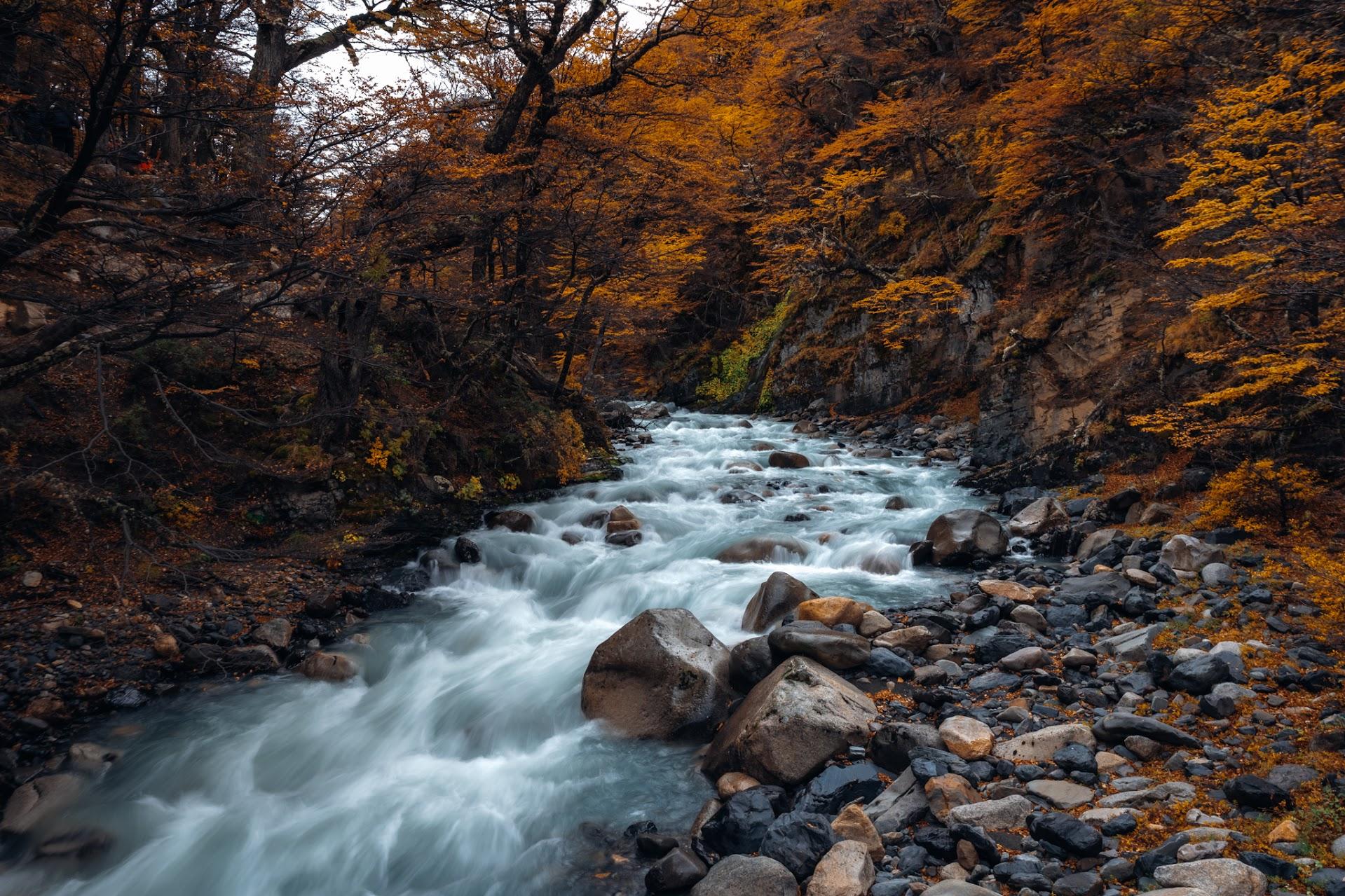 Z52_3959