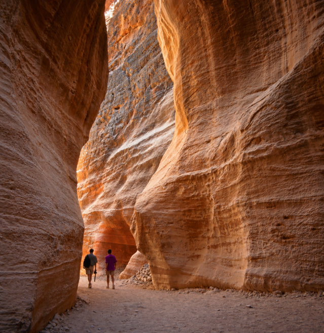 The siq
