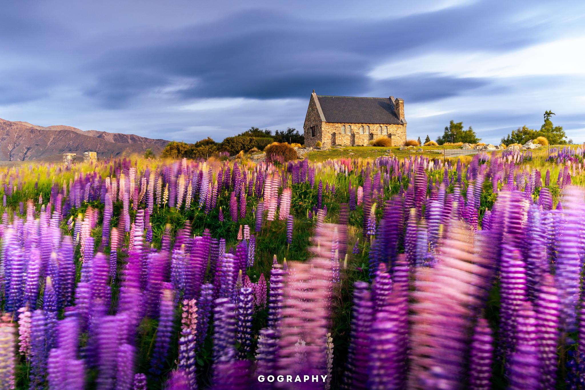 GG-NZ-Summer-1380971841