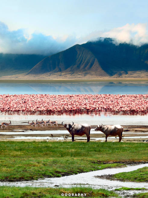 Day 5: Ngorongoro Crater – Arusha