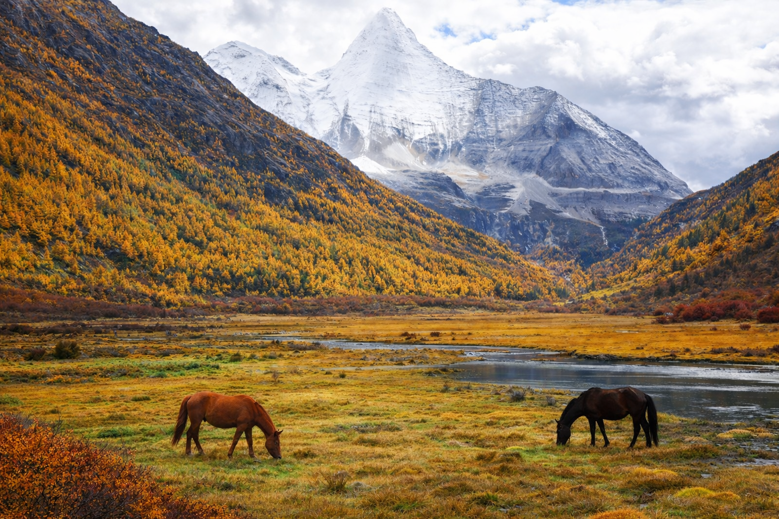 DAY 3 อุทยานแห่งชาติย่าติง (Yading National Park)      ( B // L // D ) 