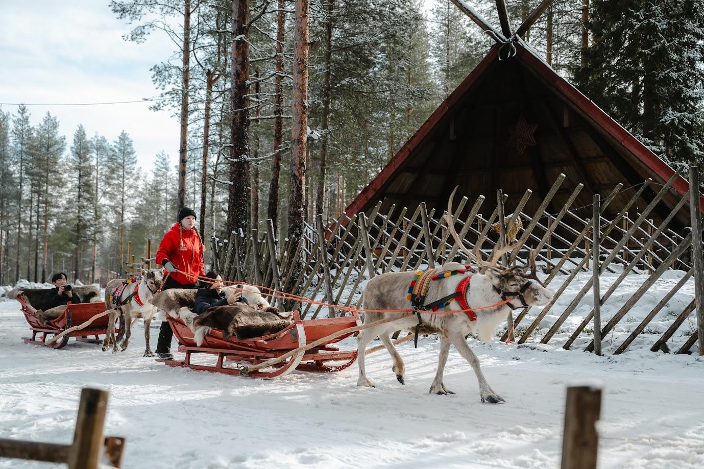 Day 7: Rovaniemi ✈ Helsinki ✈ Bangkok