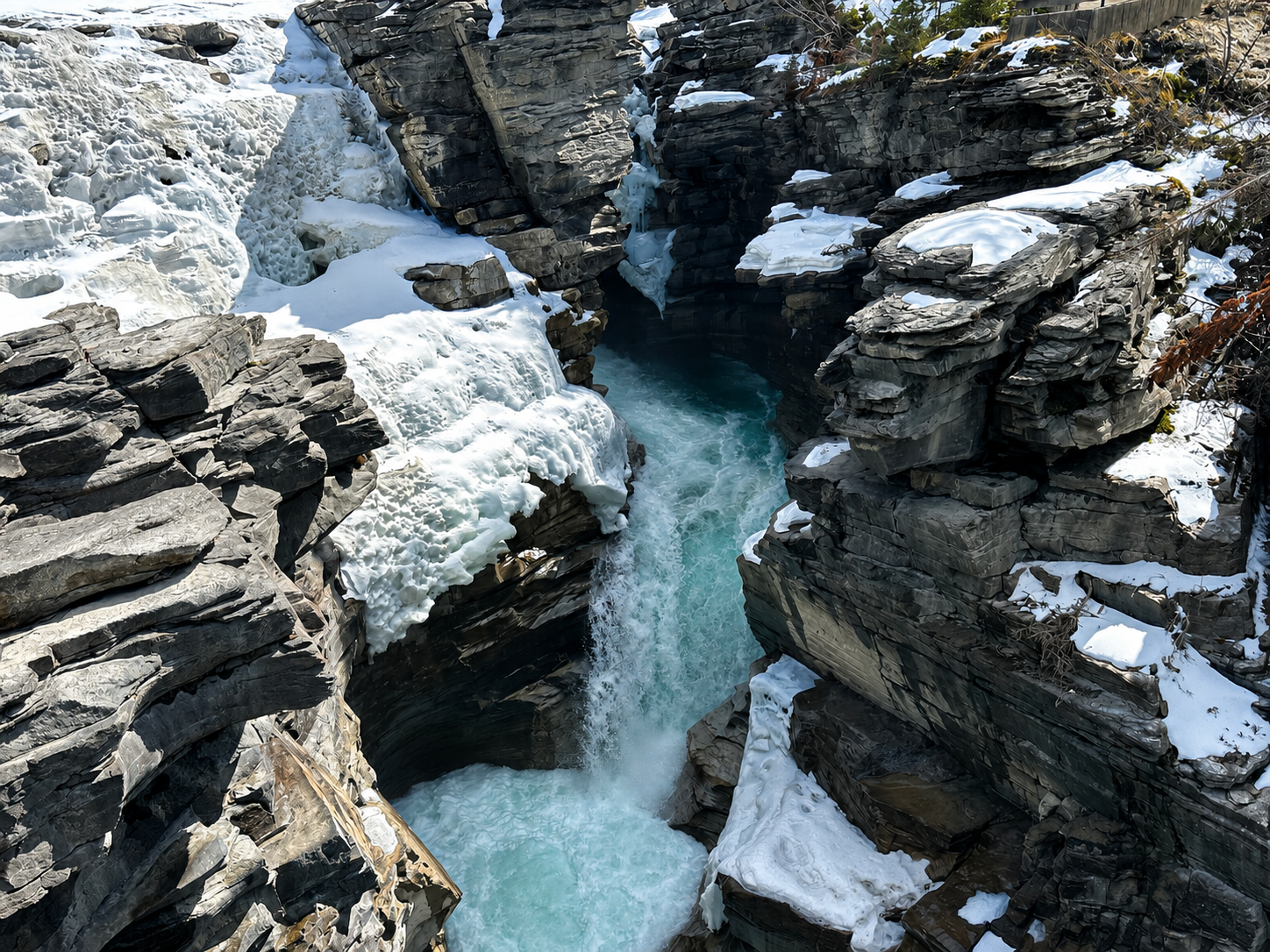 Day 6: Jasper National Park