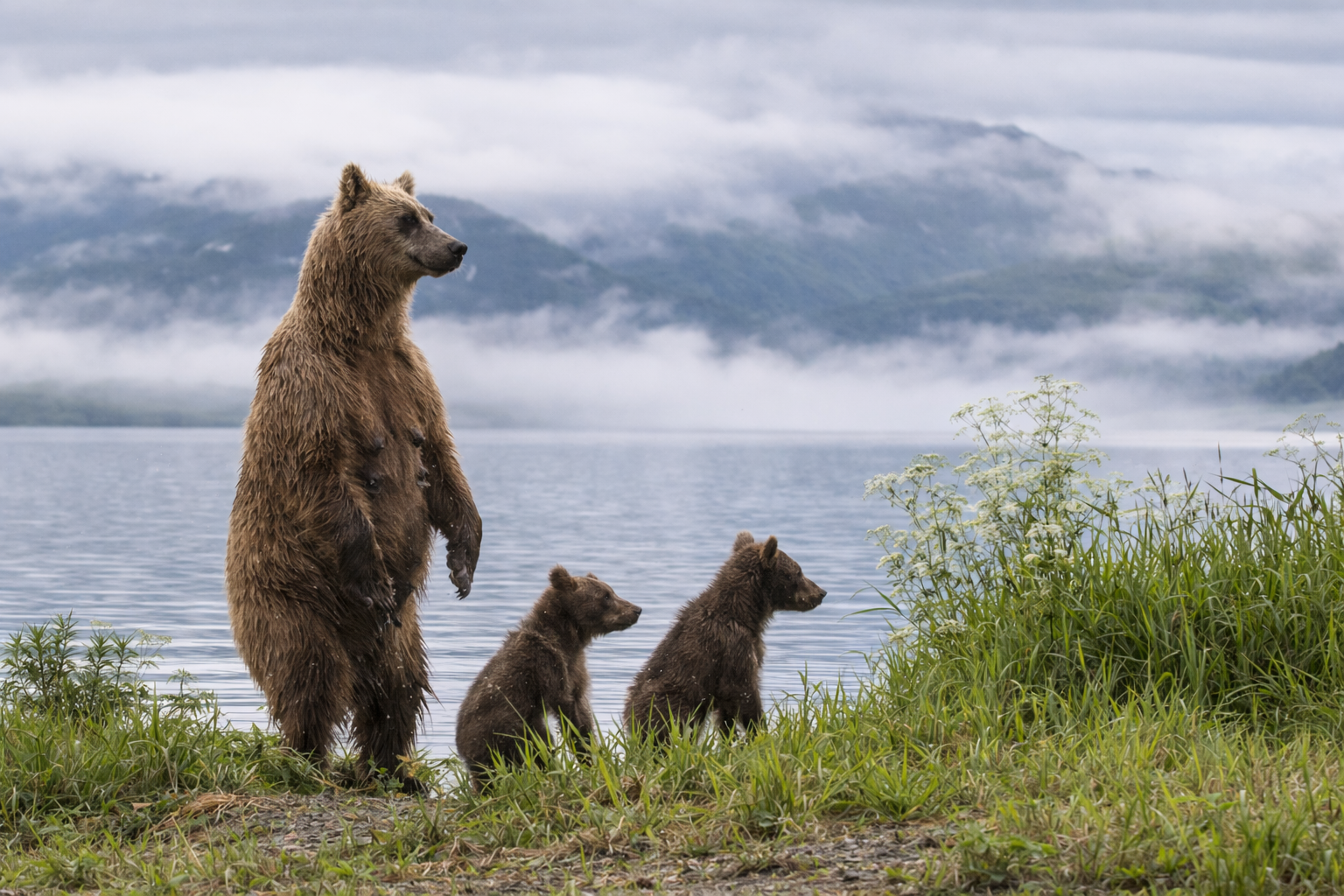 DAY10 / 21 SEP 2026 : Tolmachevo Lake – Bear Bowl – SUP Board