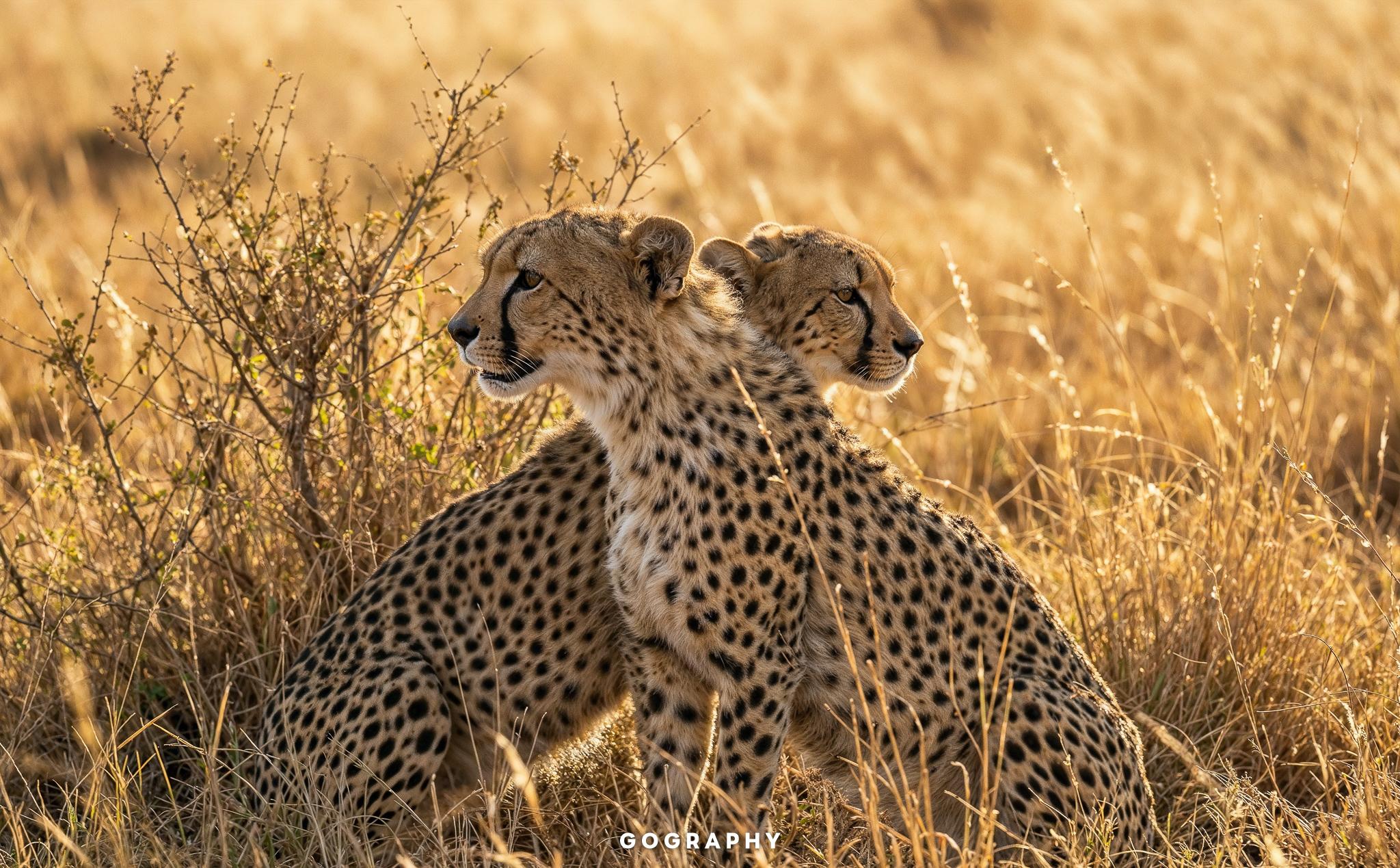 Day 2: Serengeti National Park