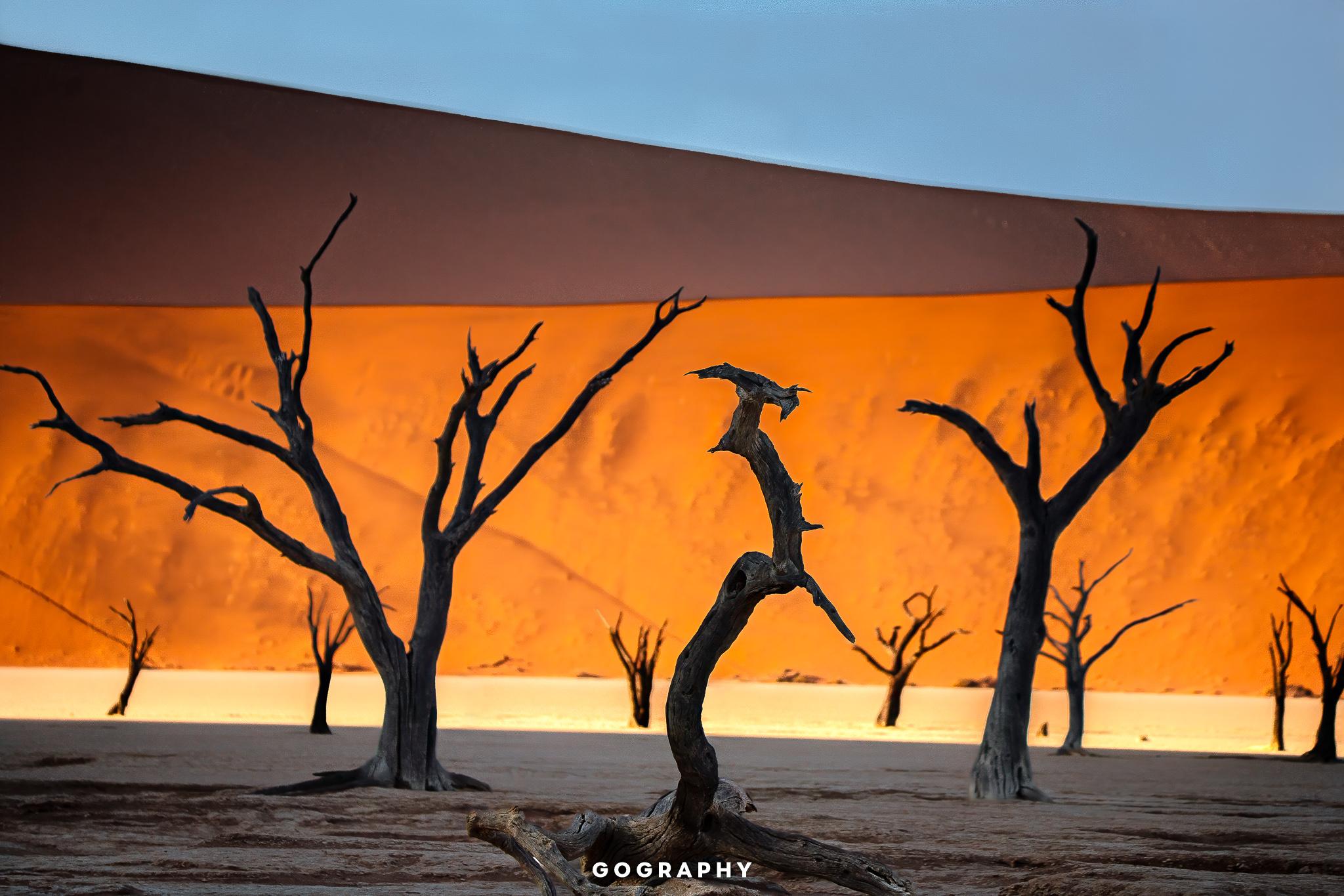  Day 5: Sossusvlei - Luderitz