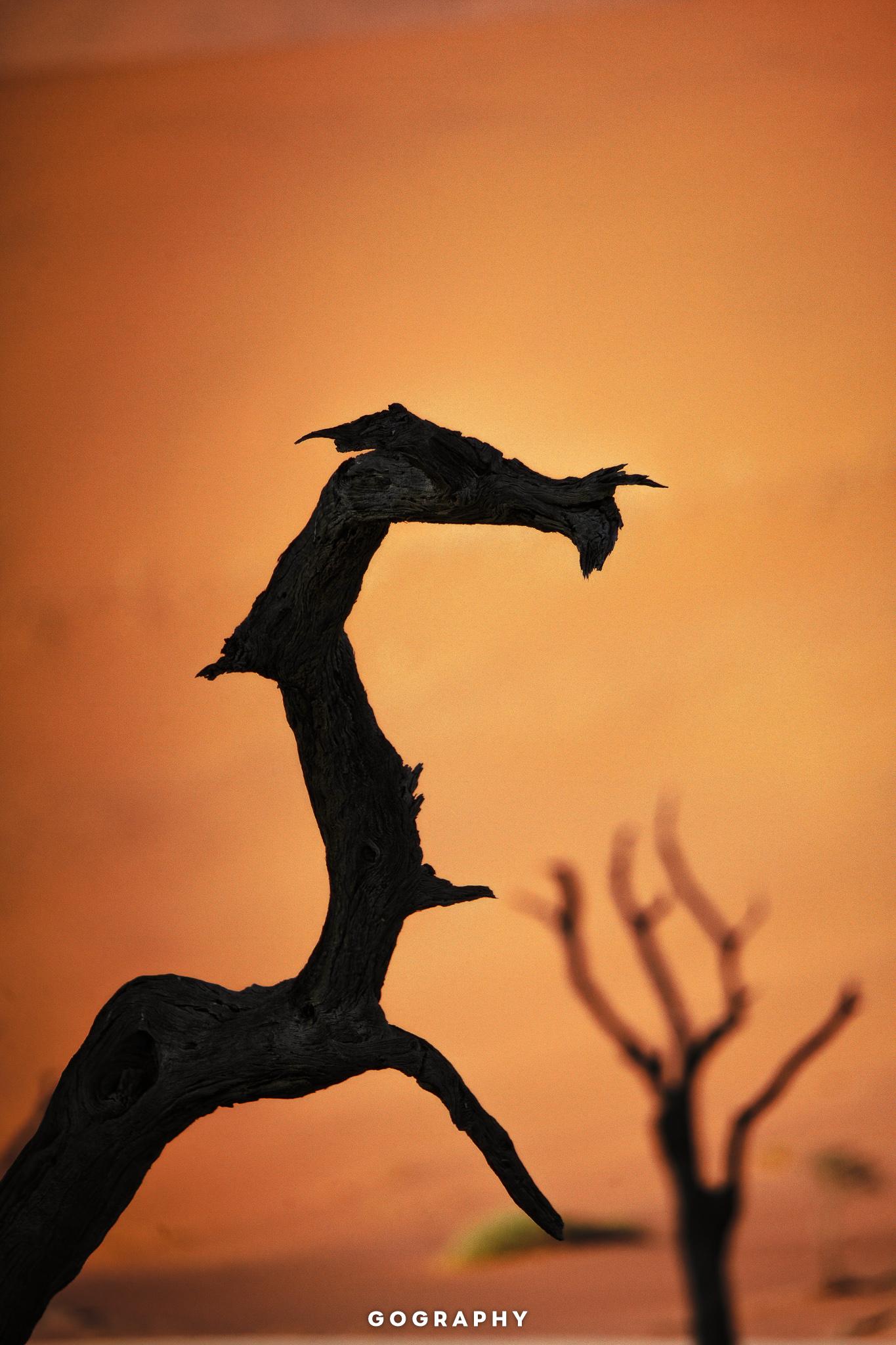 Gography-S-Namibia-2048-3637