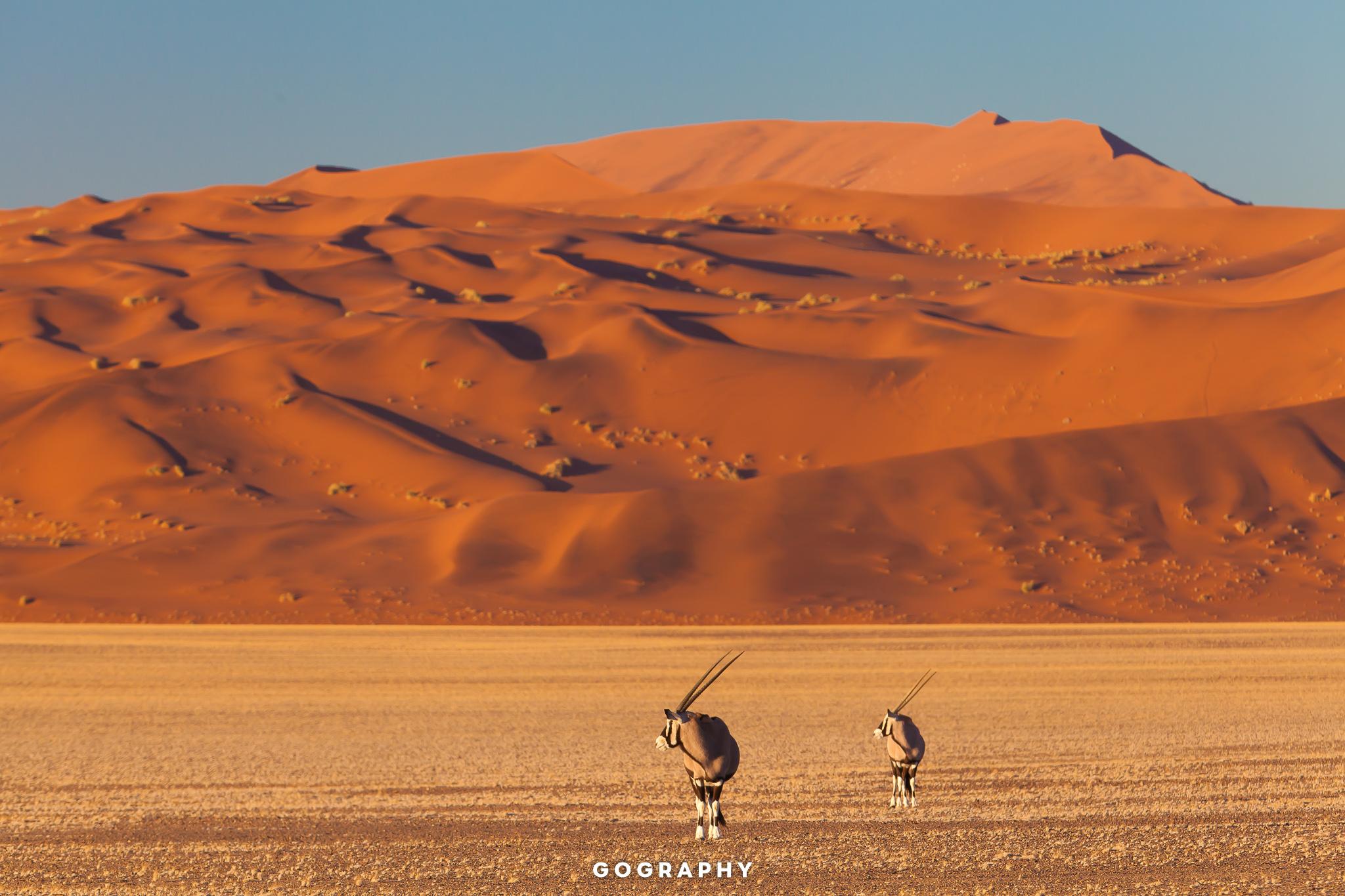 Gography-S-Namibia-2048-464753628