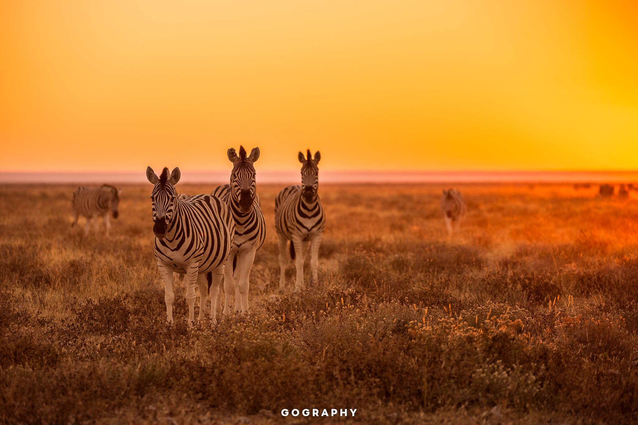 Gography-S-Namibia-2048-498130811
