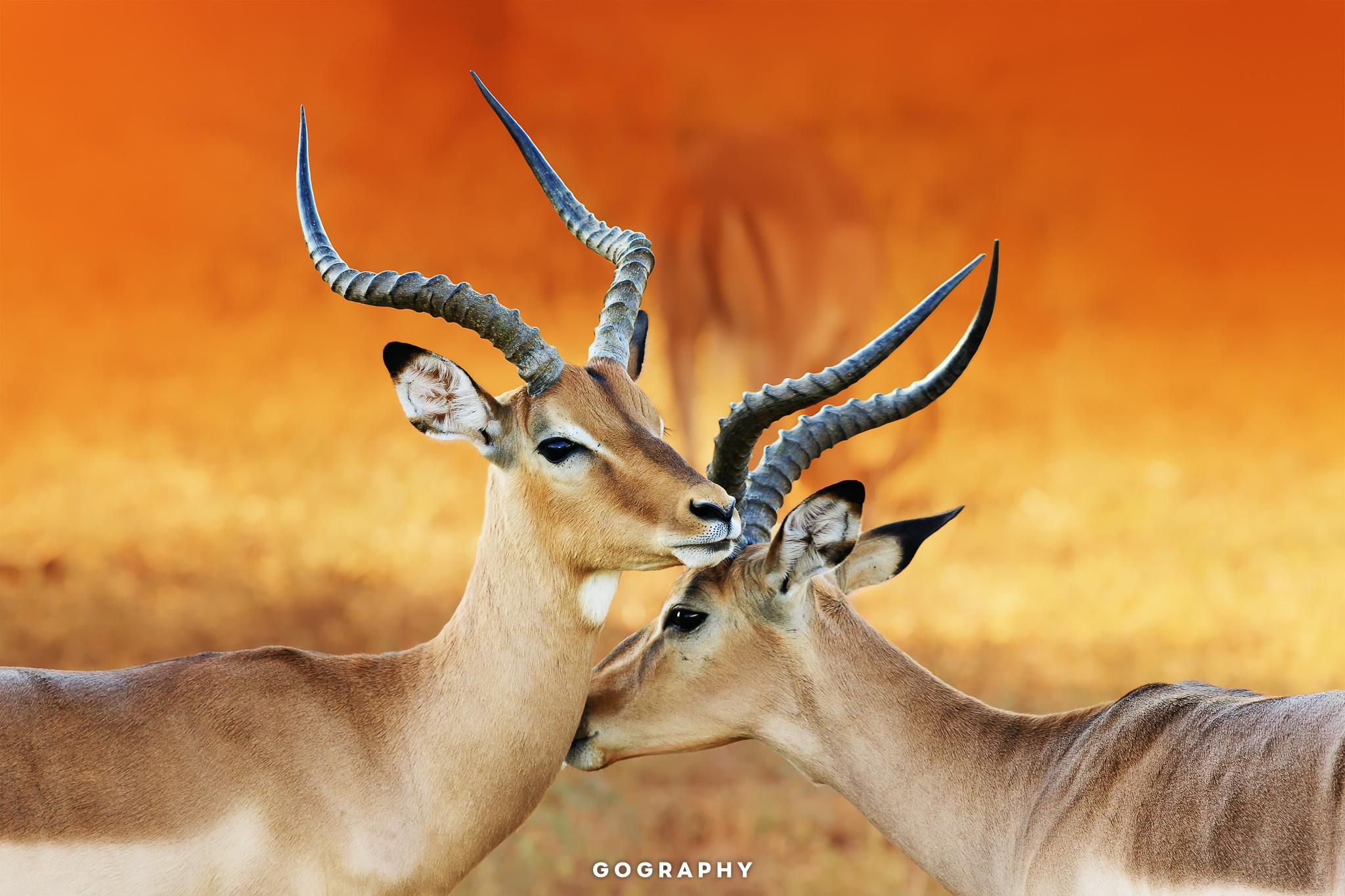 Gography-S-Namibia-2048-542829462
