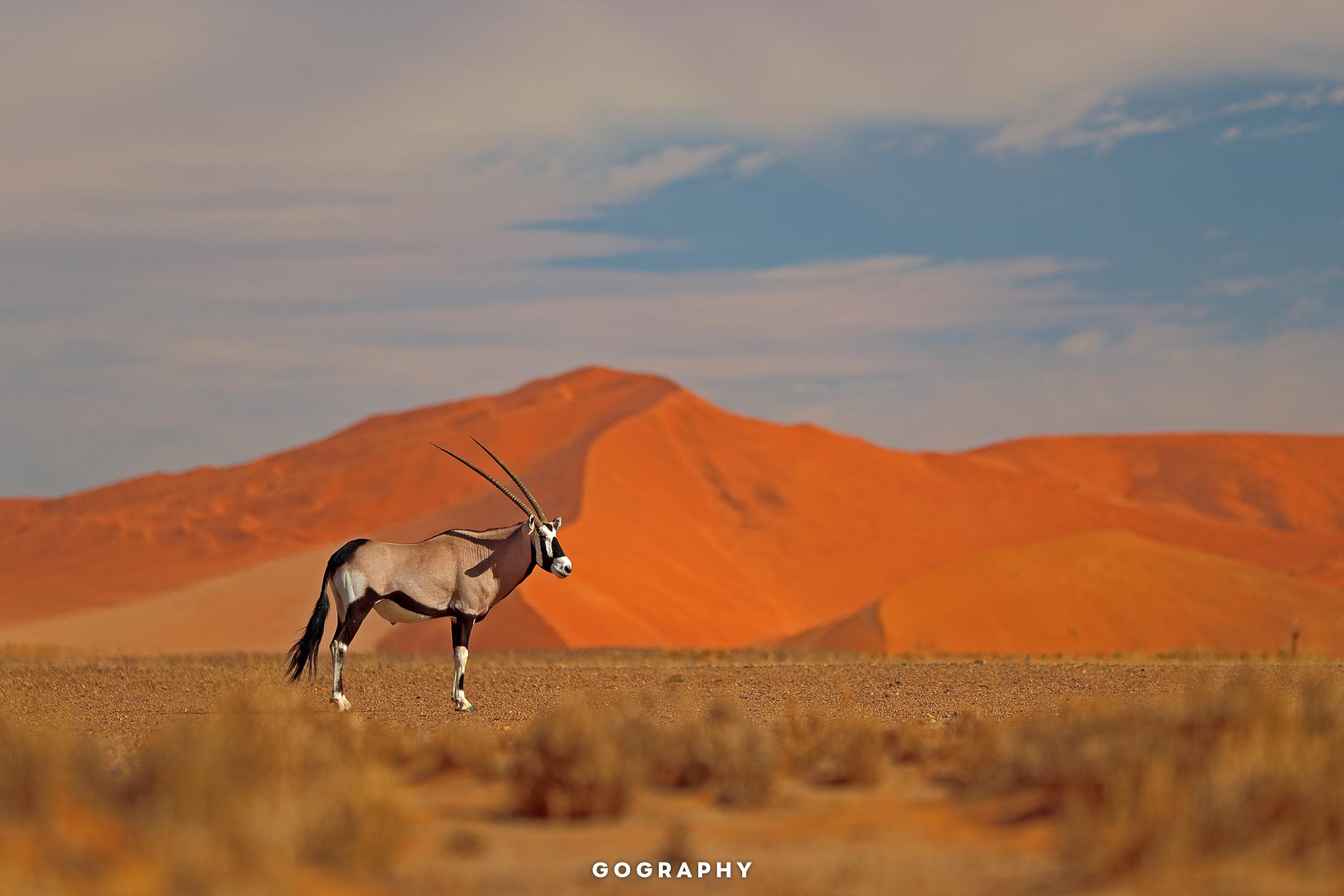 Gography-S-Namibia-2048-1282092794