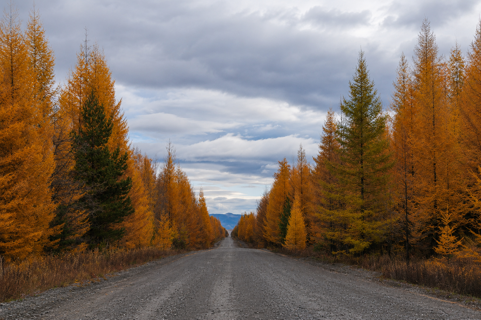 kamchatka autumn