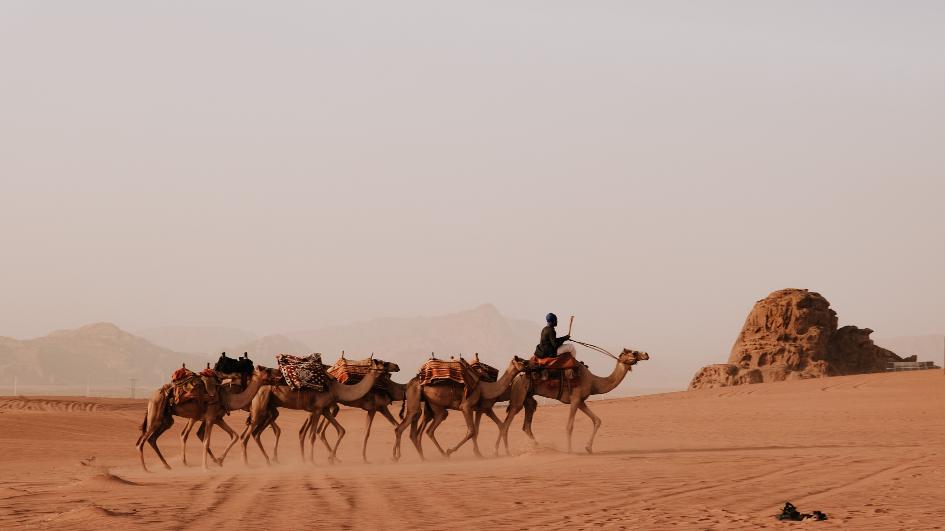 [Upcoming Trip] Jordan & Egypt | Middle East Icons