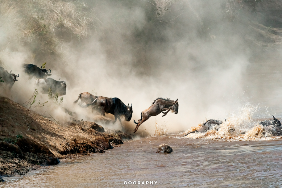 Tanzania & Zanzibar | Safari Escape