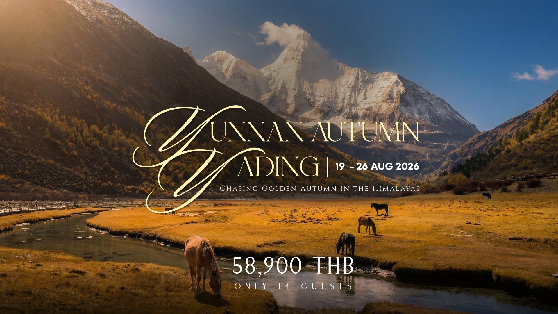 YUNNAN x YADING AUTUMN